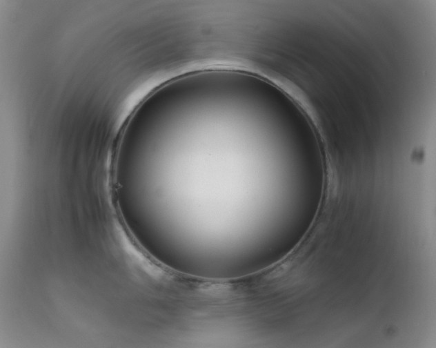 X0000111901006200907271153