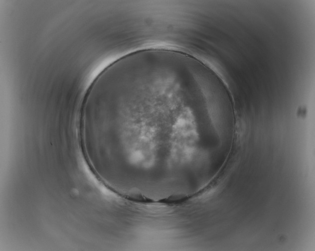 X0000111901007200907271153