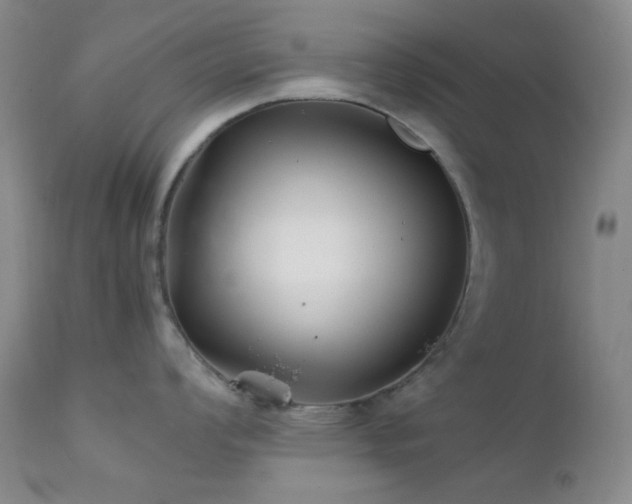 X0000111901008200907271153