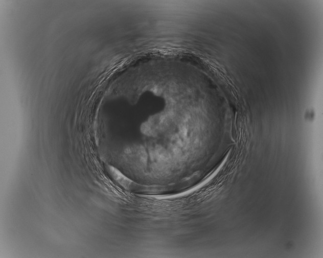 X0000111901009200907271152