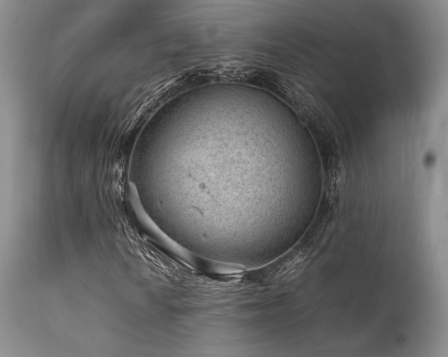 X0000111901010200907271152