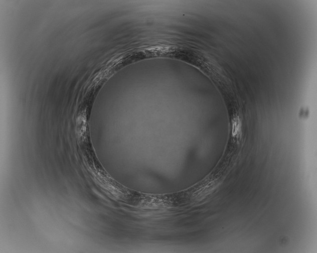 X0000111901011200907271152