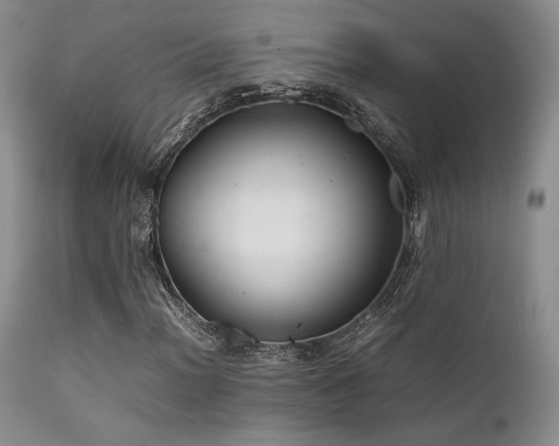 X0000111901012200907271152