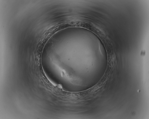 X0000111901013200907271152