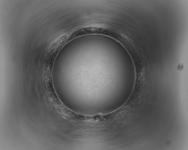 X0000111901014200907271152