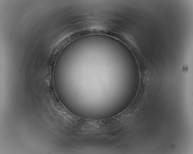 X0000111901015200907271152