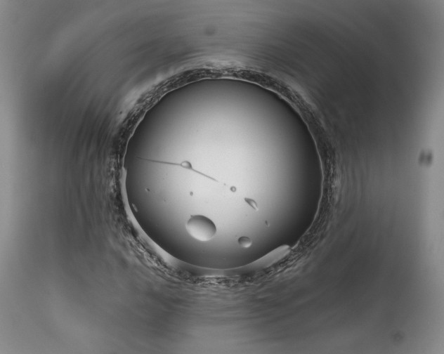 X0000111901016200907271152