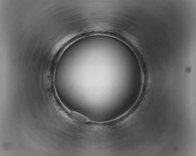 X0000111901018200907271152