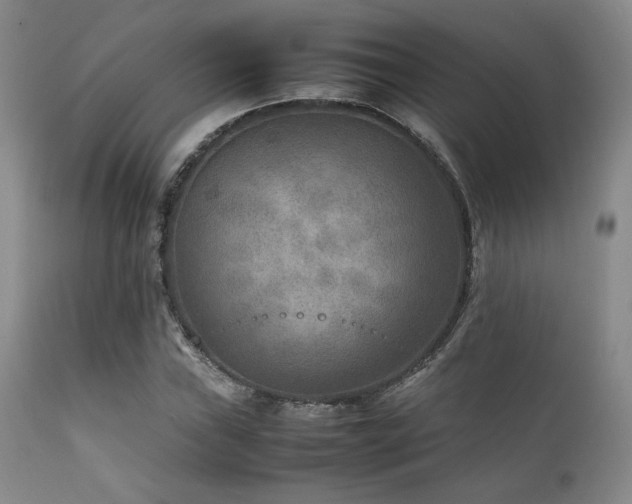 X0000111901019200907271152