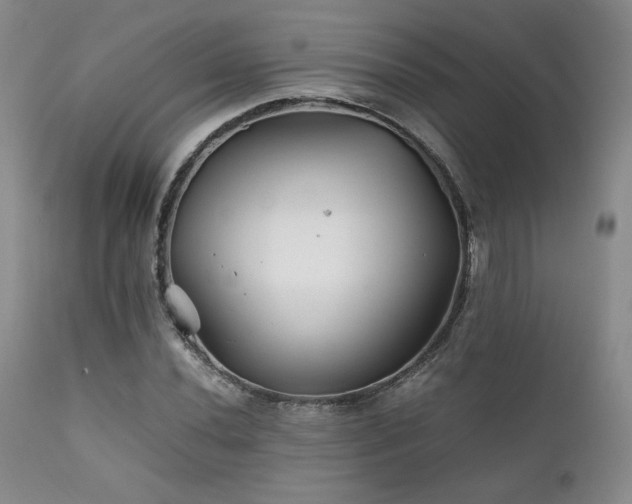 X0000111901020200907271152