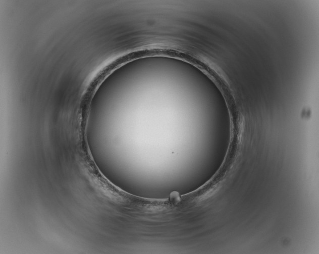 X0000111901021200907271152