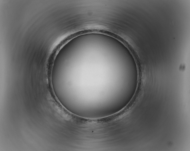 X0000111901022200907271152