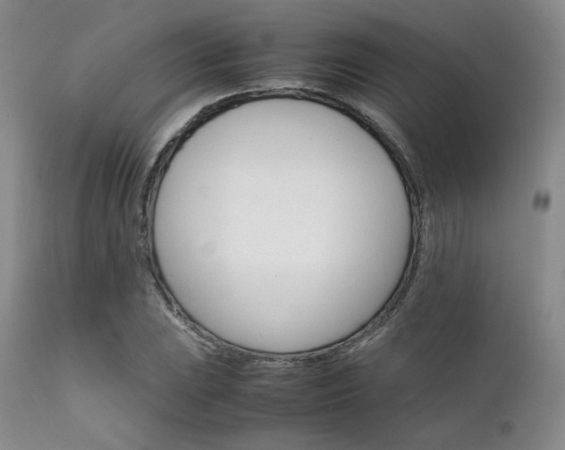 X0000111901023200907271152