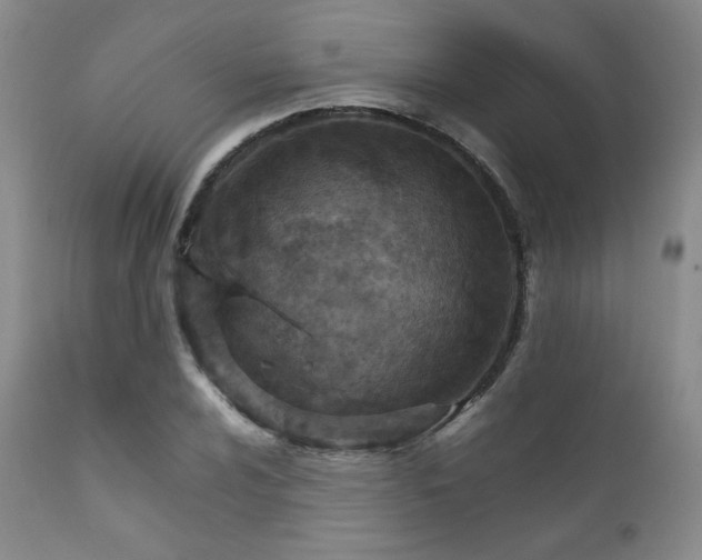 X0000111901024200907271152