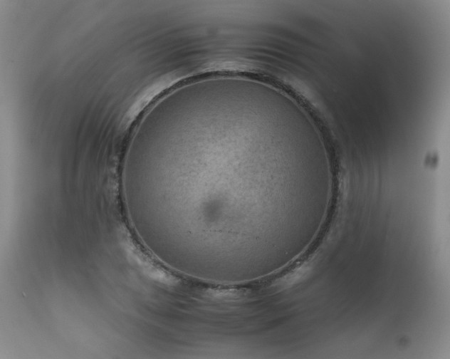 X0000111901025200907271152