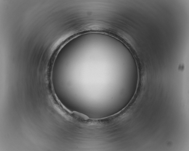 X0000111901026200907271152