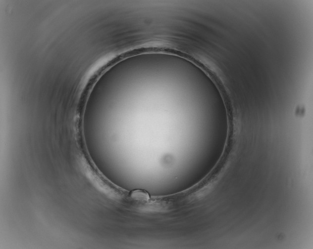 X0000111901029200907271152