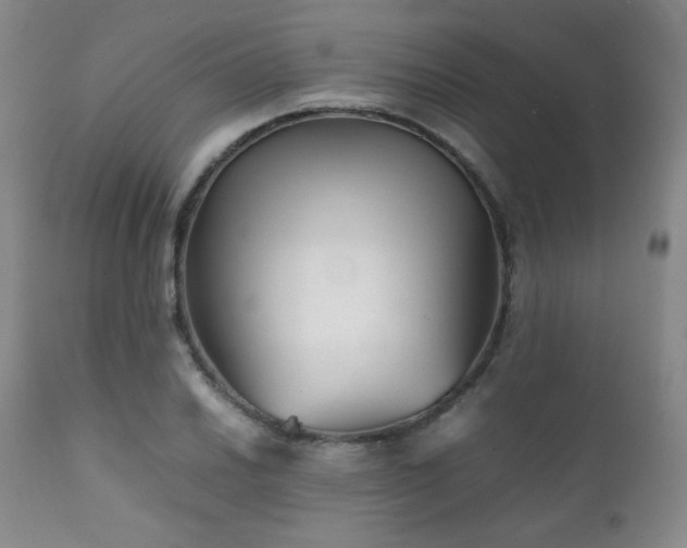 X0000111901030200907271152