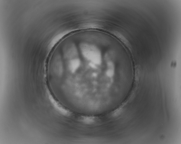 X0000111901031200907271152