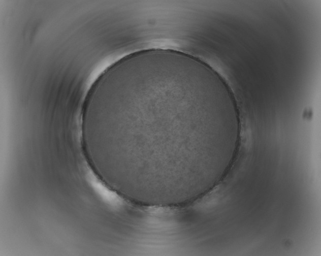 X0000111901032200907271153