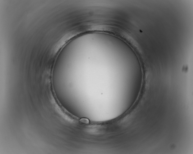 X0000111901033200907271153