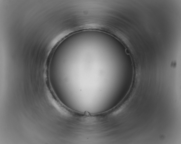 X0000111901034200907271153