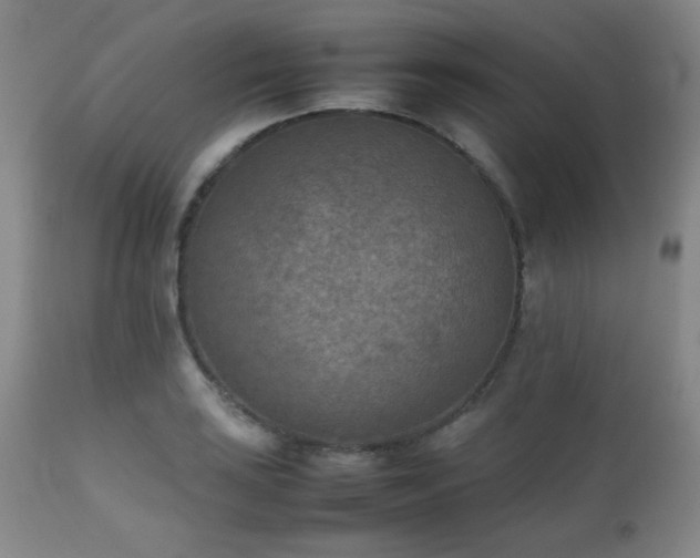 X0000111901035200907271153