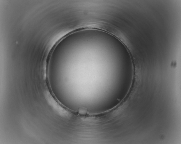 X0000111901036200907271153