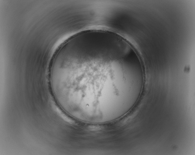 X0000111901037200907271153