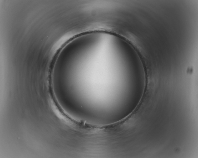 X0000111901038200907271153