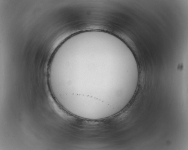 X0000111901039200907271153