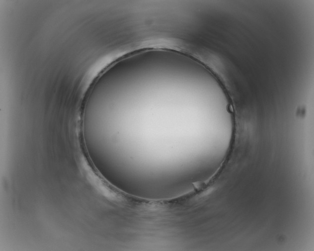 X0000111901040200907271153