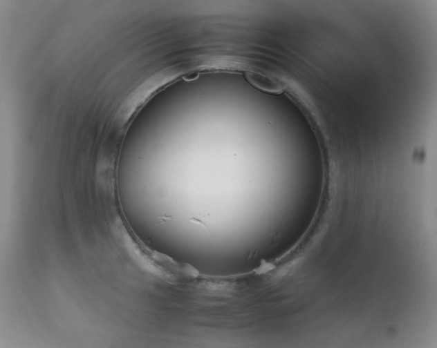 X0000111901041200907271153