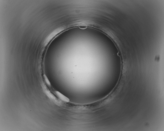 X0000111901042200907271153