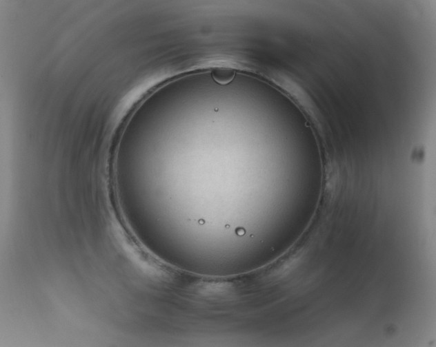 X0000111901043200907271153