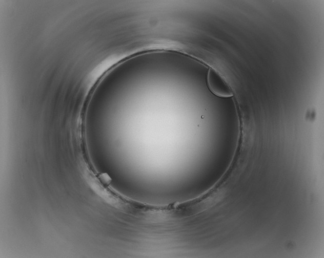 X0000111901044200907271153