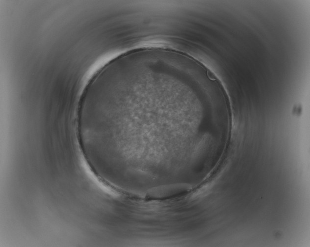 X0000111901045200907271153