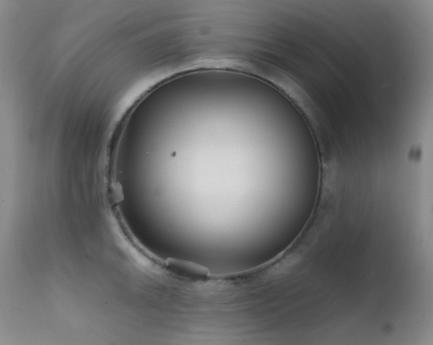 X0000111901046200907271153