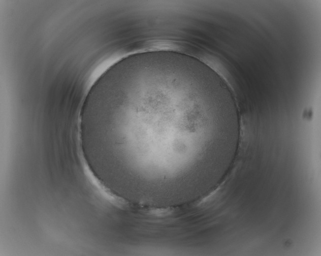 X0000111901047200907271153