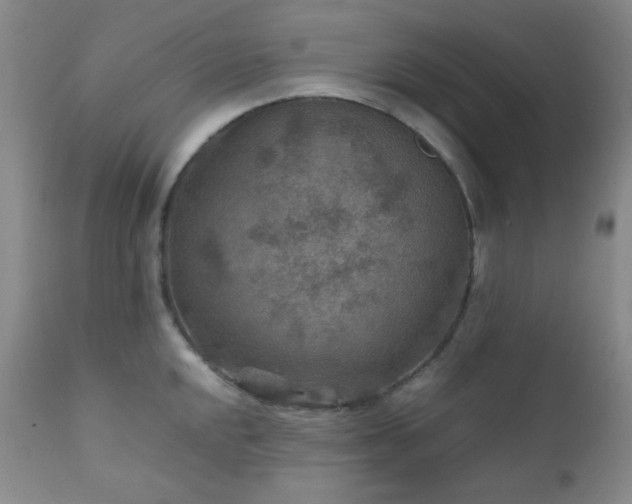 X0000111901048200907271153