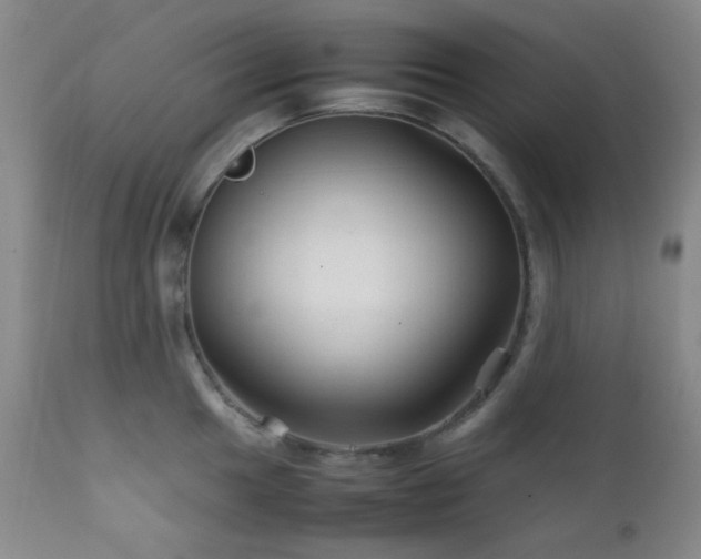 X0000111901049200907271153