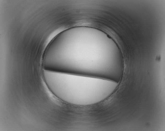 X0000111901050200907271153