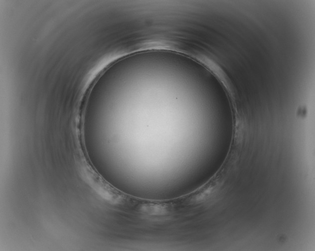 X0000111901051200907271153