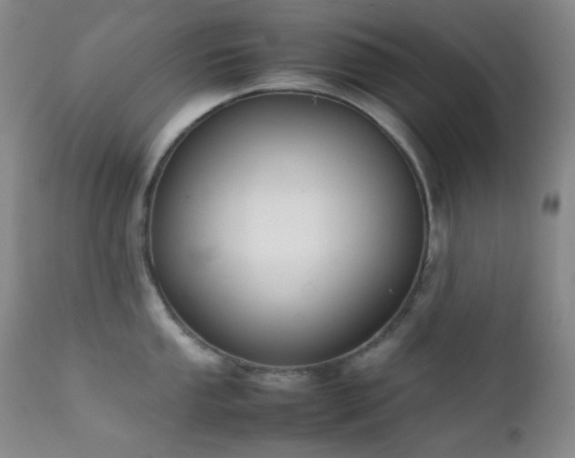 X0000111901053200907271153