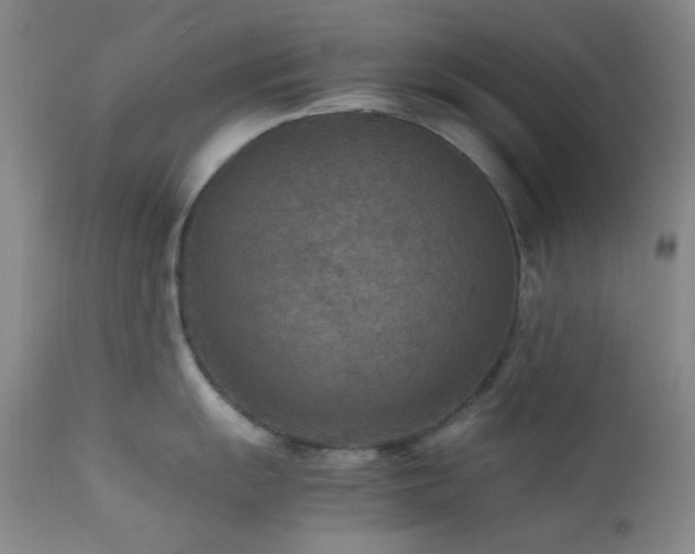 X0000111901055200907271153