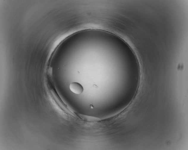 X0000111901056200907271153