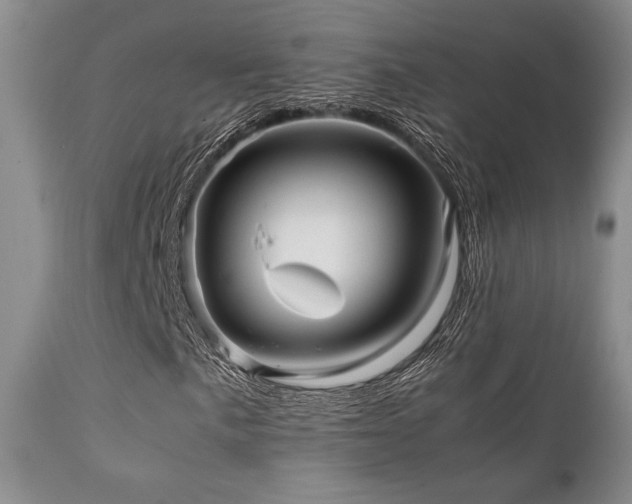 X0000111901057200907271152