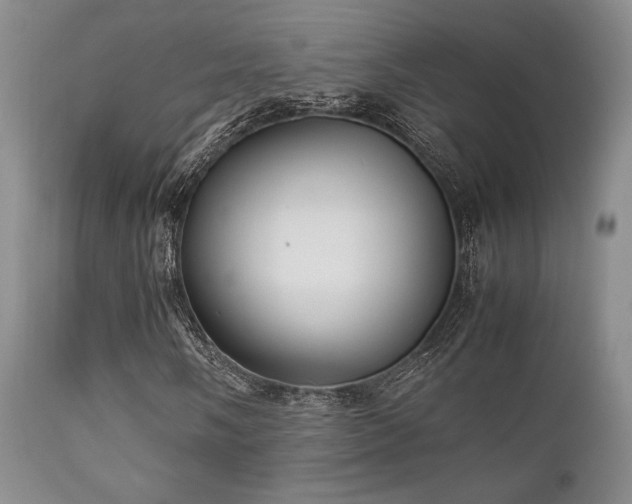 X0000111901058200907271152