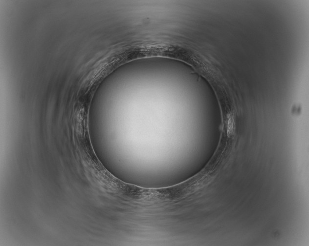 X0000111901059200907271152