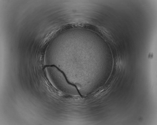 X0000111901060200907271152